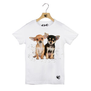 CHIHUAHUA BAMBINO BIANCO CHIHUAHUA