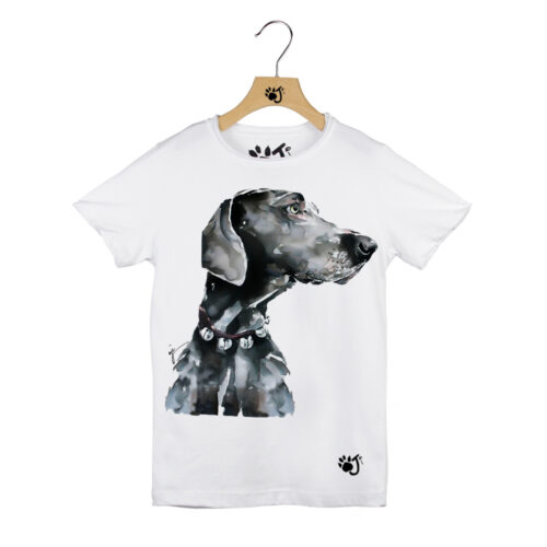WEIMARANER BAMBINO BIANCO WEIMARANER